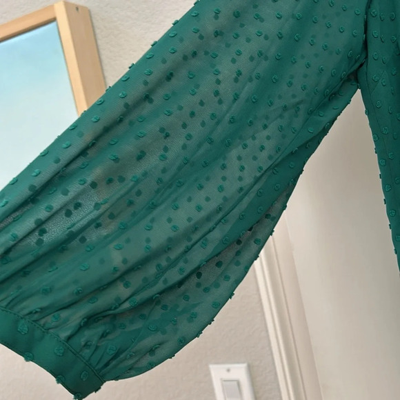 J Crew Kelly Green 2X Swiss dot v neck blouse. Lined in front. EUC - Picture 3 of 10